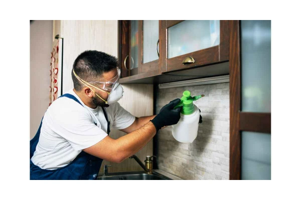 Pest control technician treating a kitchen for ants in a Conroe, TX home