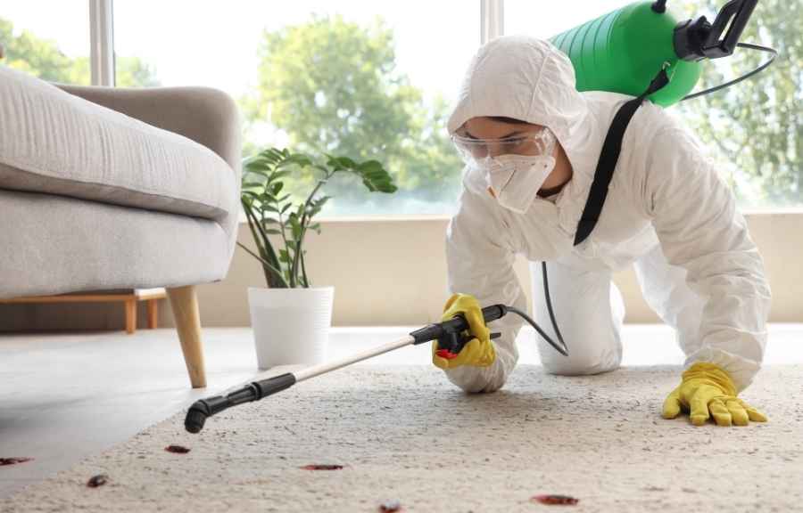 Licensed pest control technician in protective gear treating a living room floor for cockroaches in a Conroe, TX home